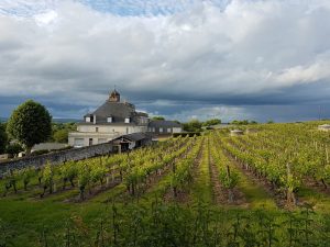 route des vins de la Loire
